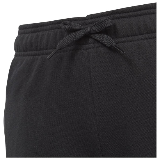 Adidas Παιδικό παντελόνι φόρμας Essentials Linear Logo Pants